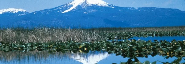 Mar 1, 2015 - Sacred Water, Klamath People and the Struggle for Cultural Survival