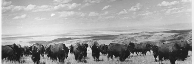 May 1, 2015 - Reclaiming Responsibilities for Our Next Generations by Matt Remle