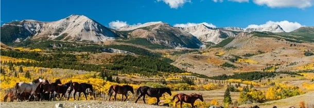 Nov 24, 2015 - Protecting the Badger-Two Medicine Region: The Blackfeet Nation Saves Sacred Site from Drilling