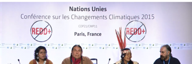 Nov 26, 2015 - Indigenous Rights on Chopping Block of UN COP21 Paris Climate Accord