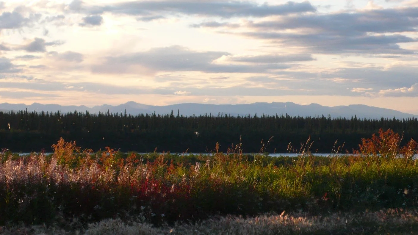 Feb 28, 2016 - Teetł’it Gwich’in Governance: A Reflection On My Thesis and Community Based Research, By Elaine D. Alexie