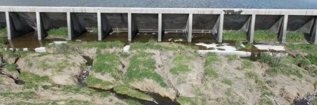 Apr 26, 2016 - Secret Klamath Dam Discussions Part 2: Endangered Suckers Dead on Lost River by Kayla Godowa-Tufti