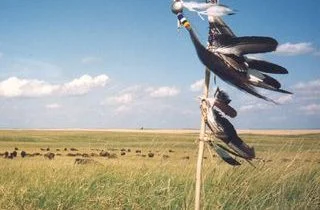 Apr 28, 2016 - Run For Your Life: NO DAPL A Relay Run In Opposition of Dakota Access Pipeline