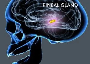 Jun 10, 2016 - My Humble Observation &amp; Opinion on why Native Peoples should not Drink Alcohol by Damon Corrie