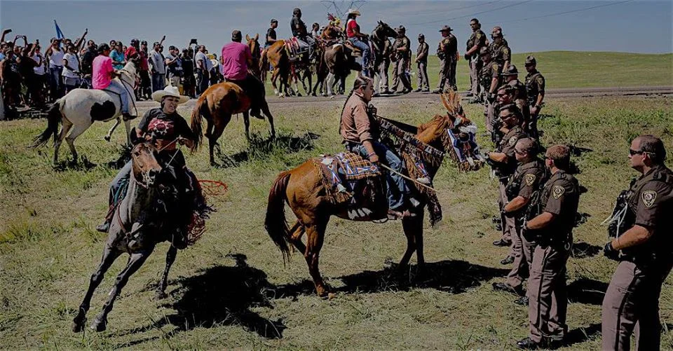 nodapl13.jpg