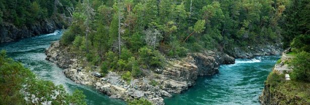 Feb 23, 2017 - Hoopa Valley Tribe Appaulds Appeals Court’s Decision to Uphold Life-Saving Water Releases for Hoopa Fish