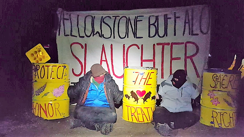 Mar 16, 2018 - Wild Buffalo Defense Engages in Direction Action to Stop Wild Buffalo Slaughter