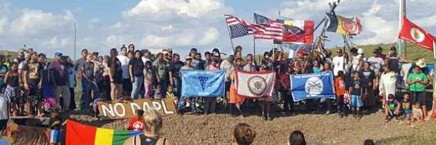 dapl8-630x210.jpg