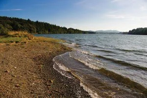 Squaxin Island Tribe & Port Blakely Announce Historic Land Transactions
