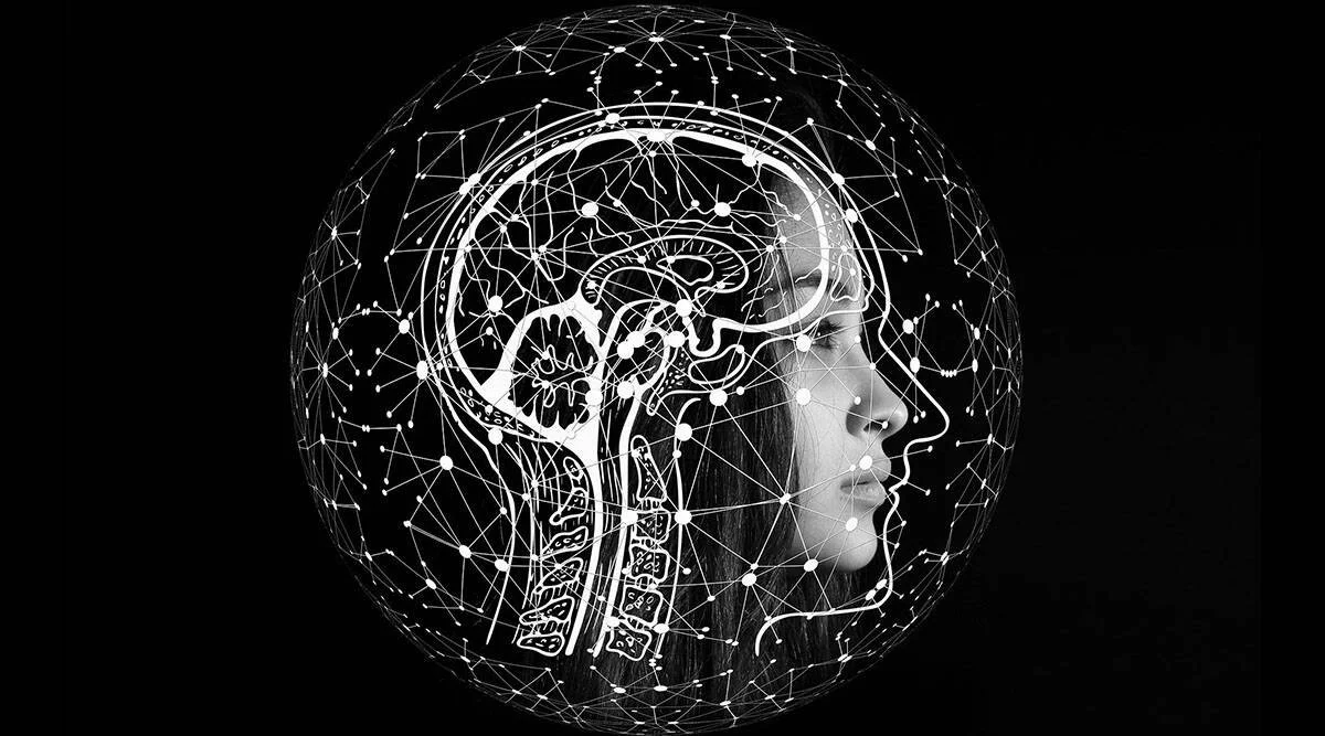 Is Google's LaMDA Sentient?