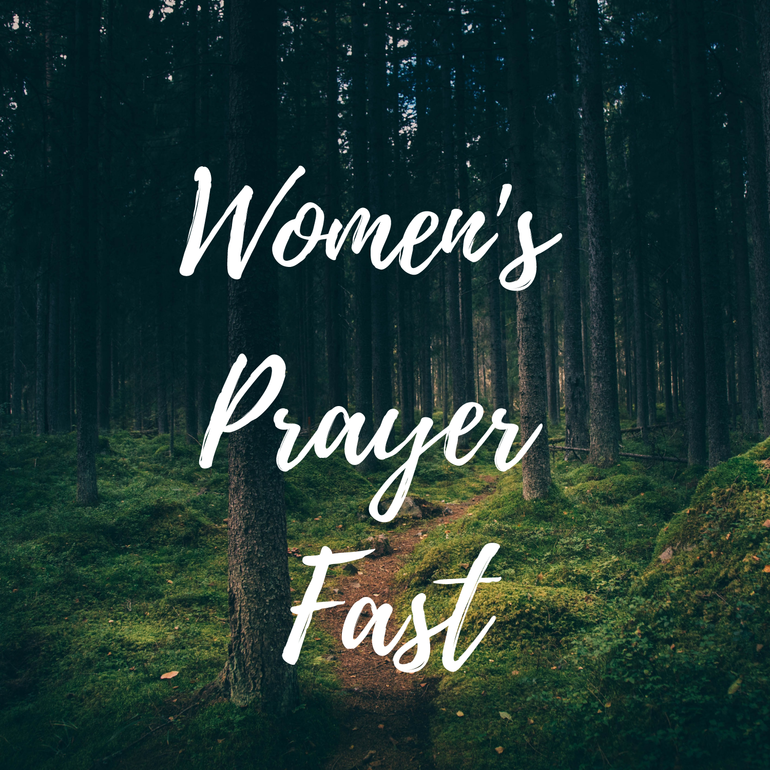 Seasons of Womanhood - Forest Prayer Fast