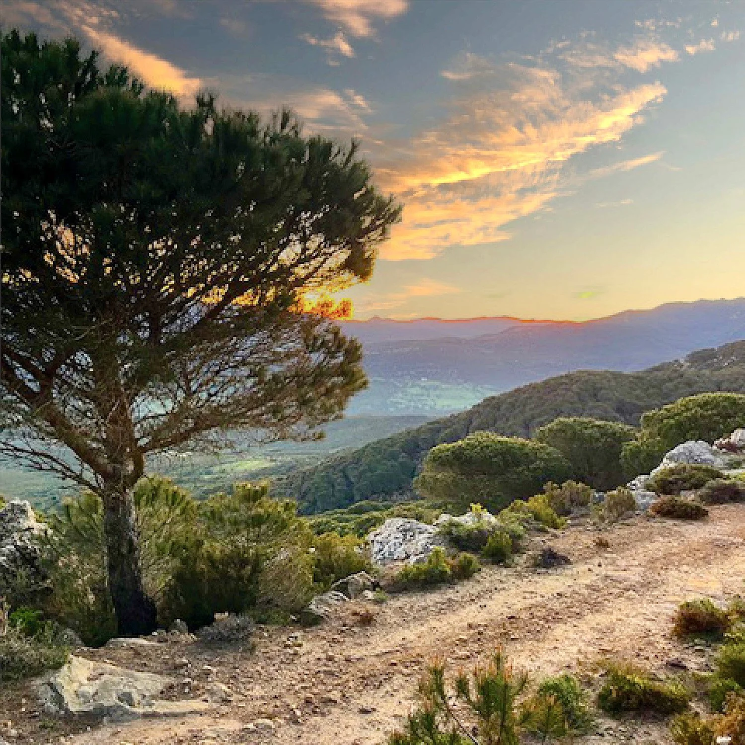 Vision Quest Ceremony - Southern Spain: March 22- April 2, 2026