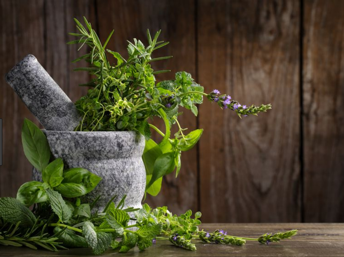 Plantsstillheal.com