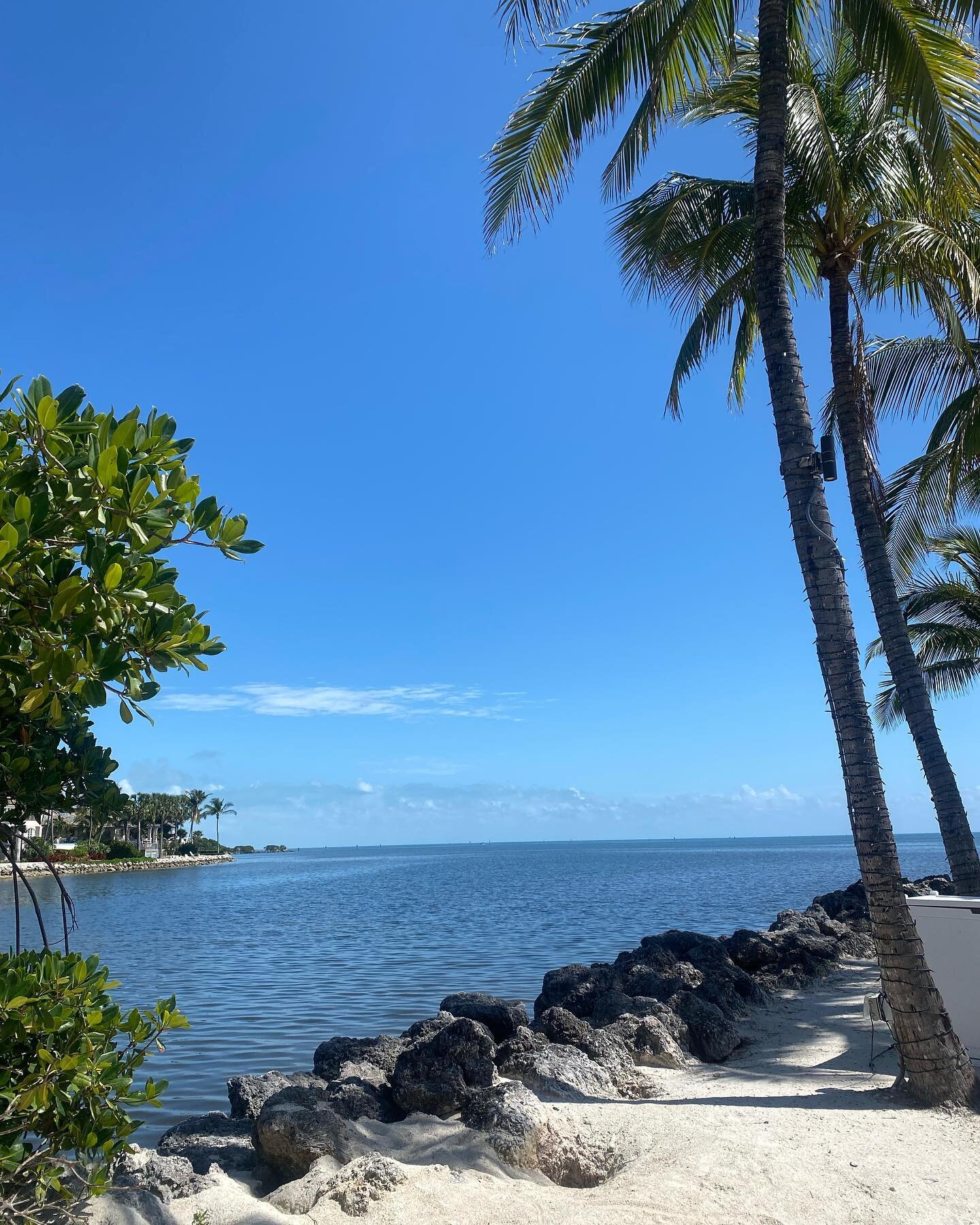 Trunk showing 🏝️