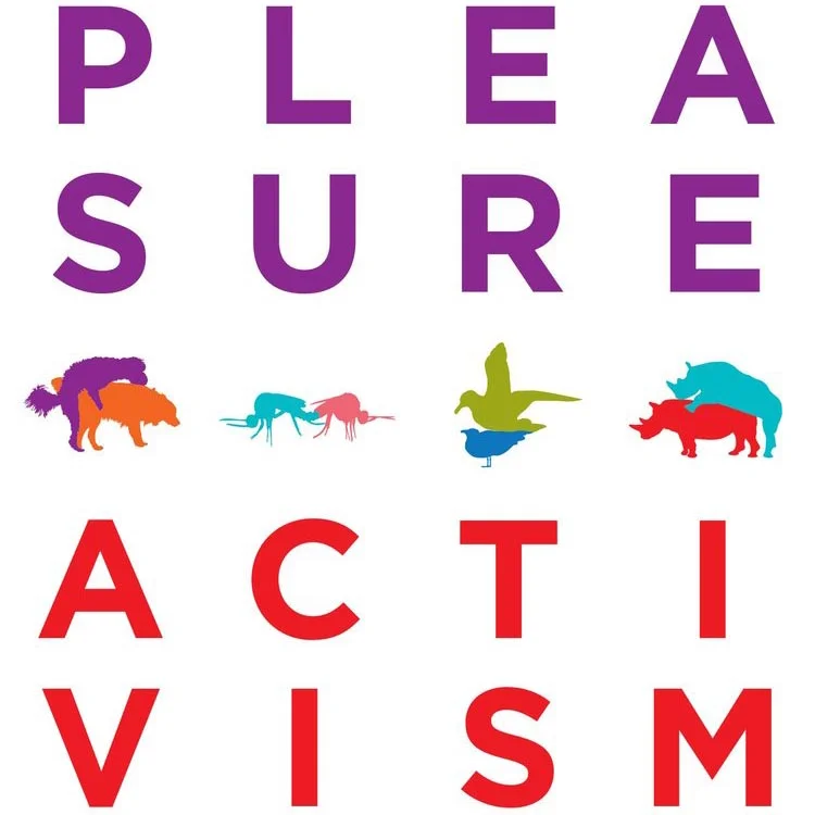 Pleasure Activism