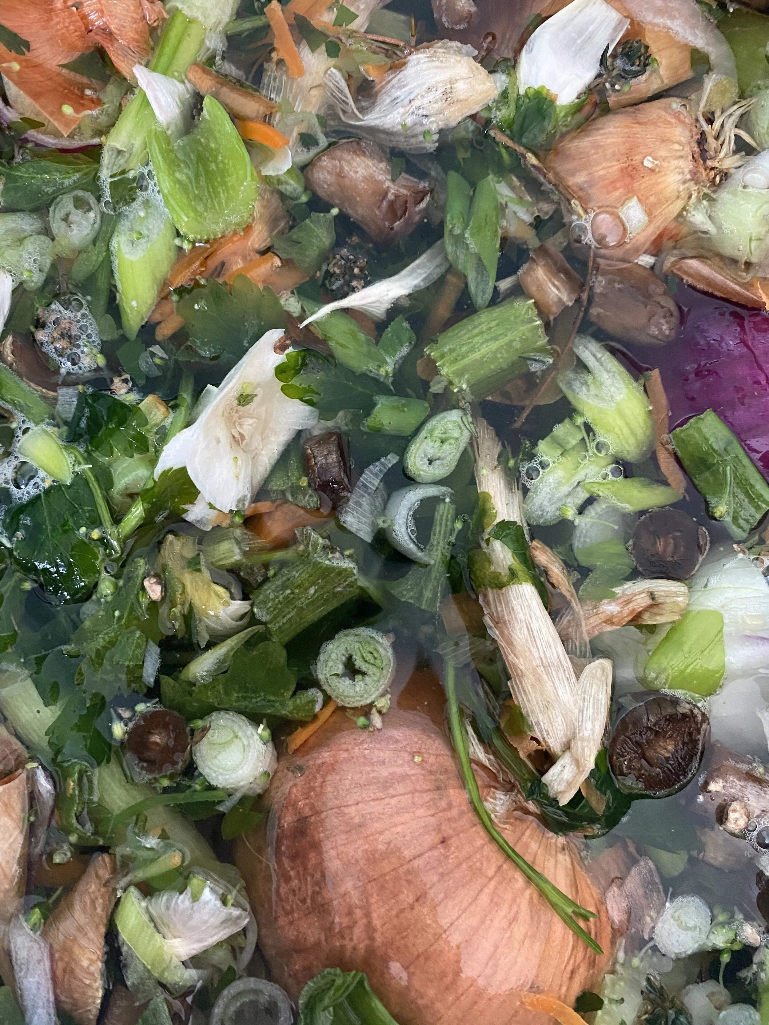 Scrap and Vegetable Stock