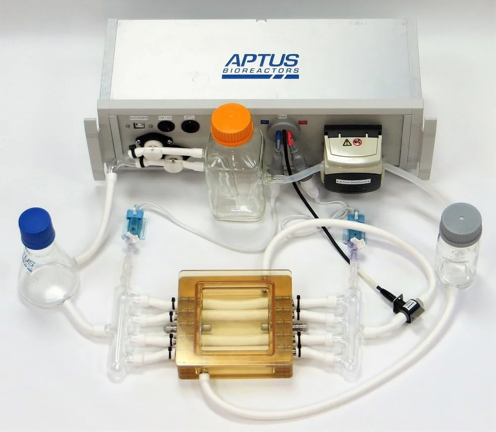 Vascular Bioreactor