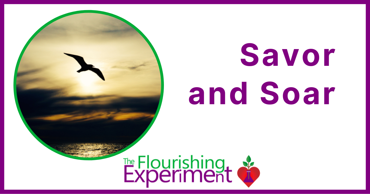 TFE 255 Savor and Soar (10_10_2019).png