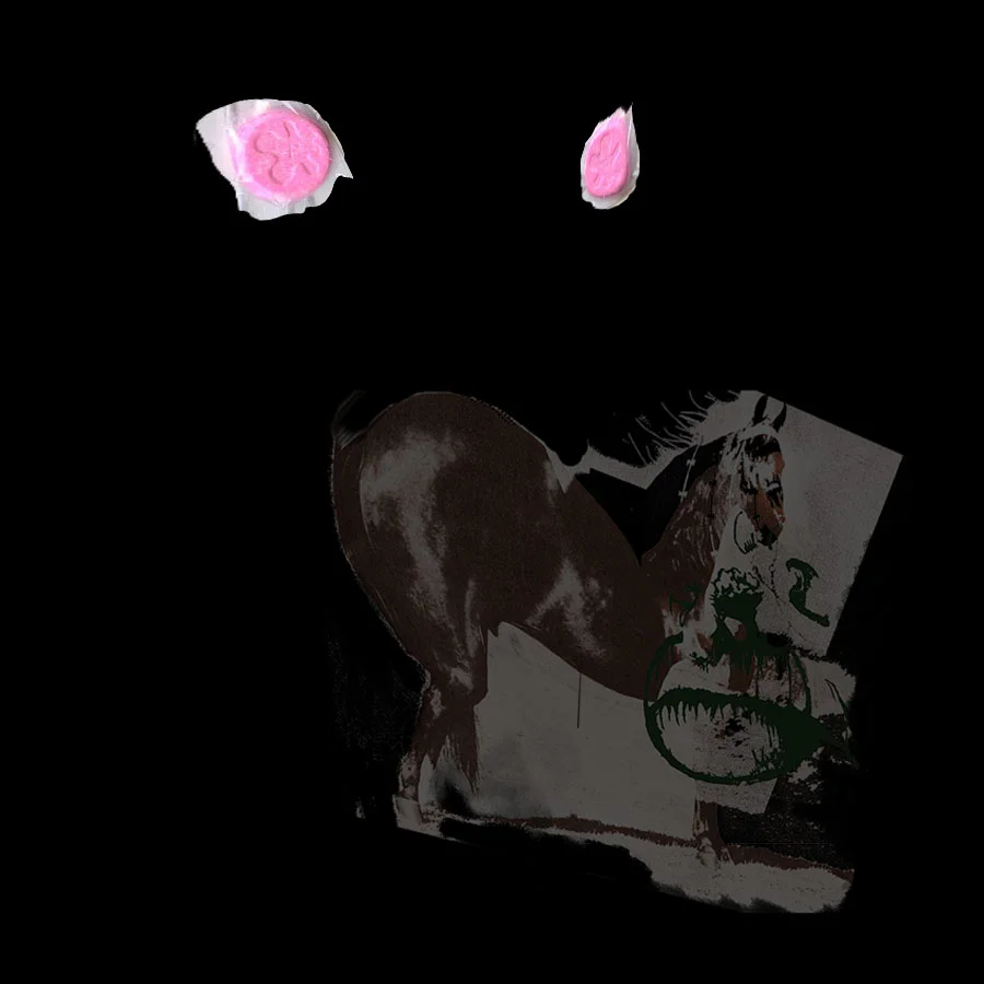 huntingrevsed.jpg