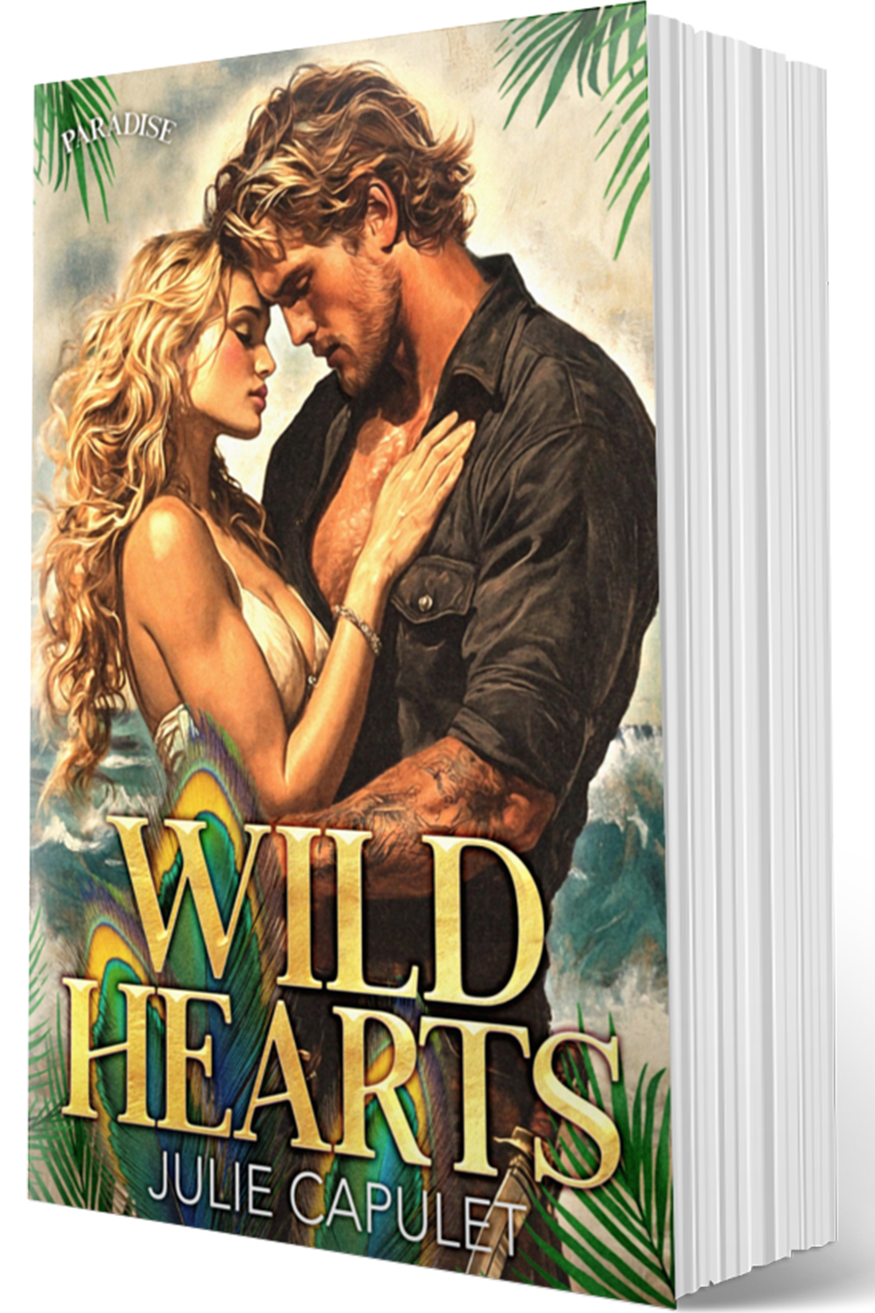 pirates2777paperback.png