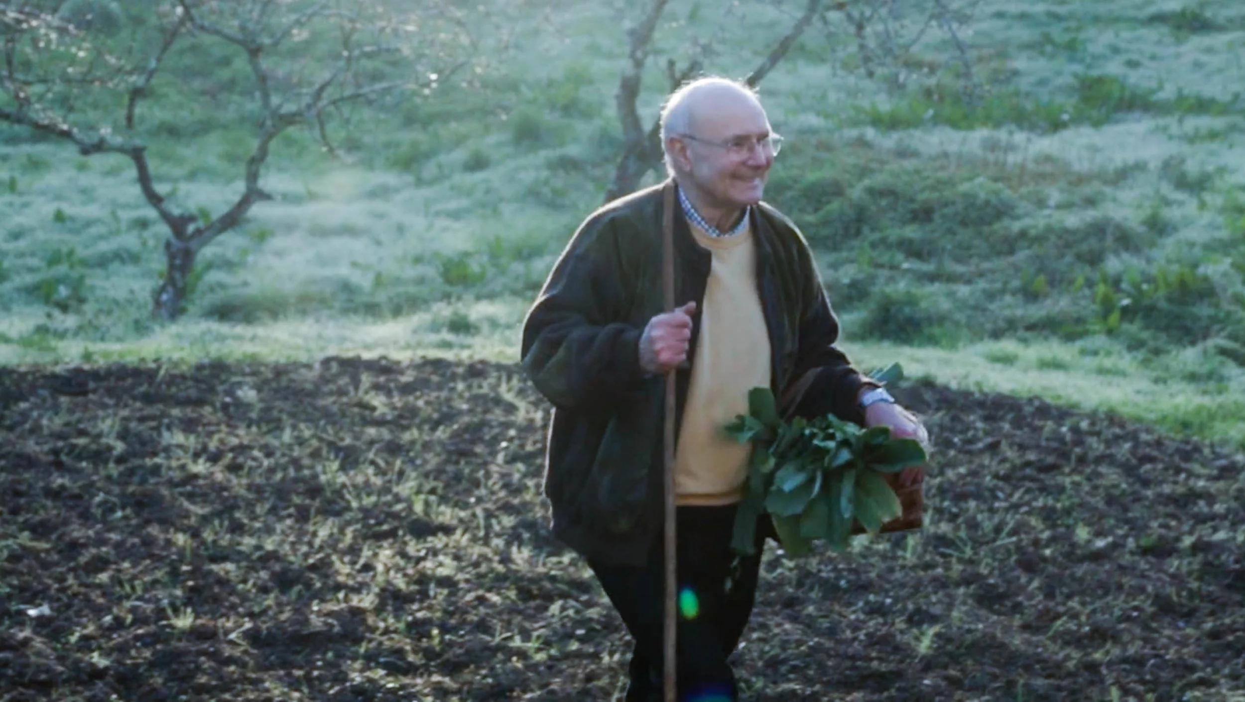 A COOK'S REMEDY - Episode 3 "Roots Part 2"