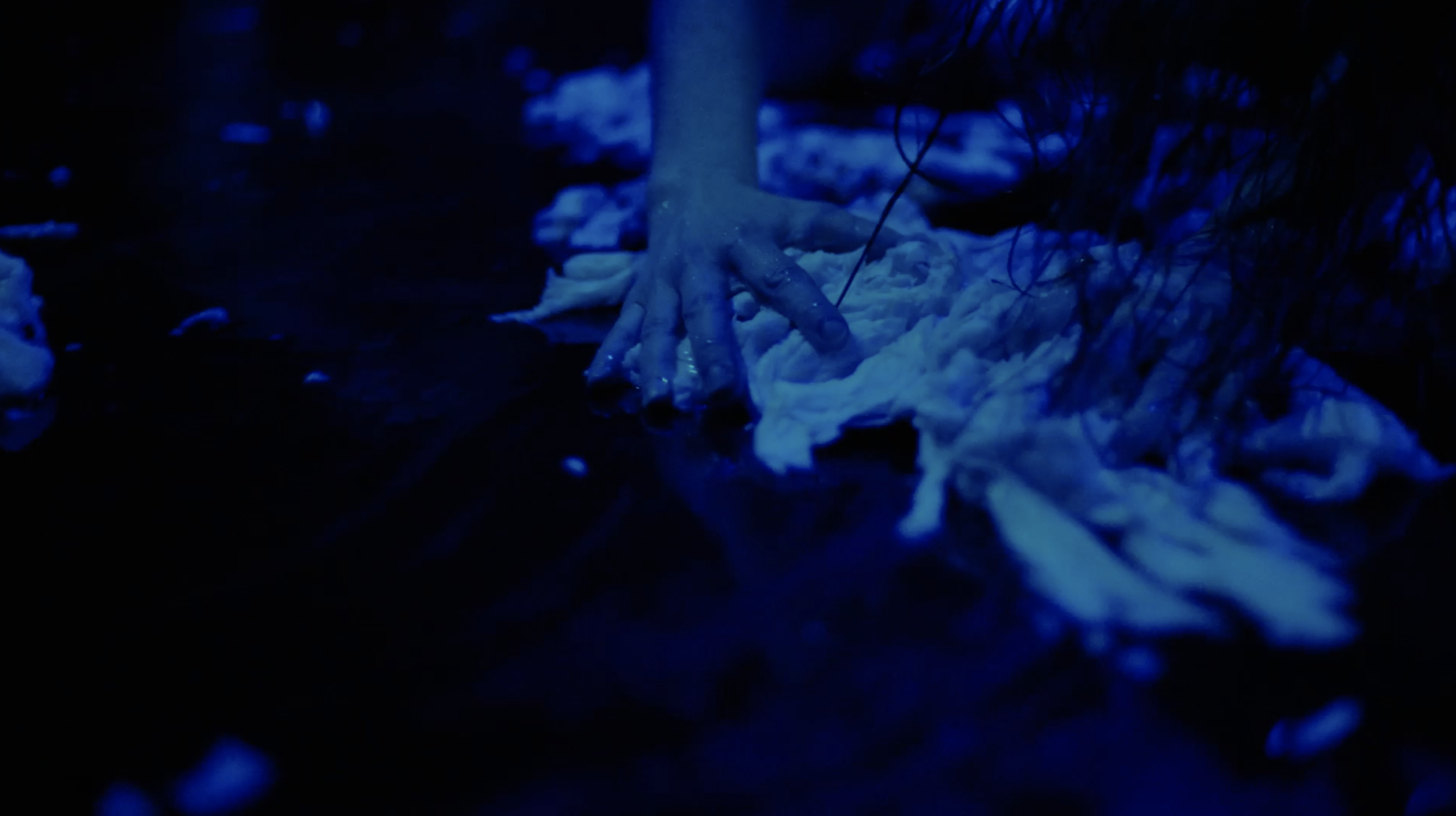  Vagus Symphony / Flökkusinfónía, videostill, 2024 