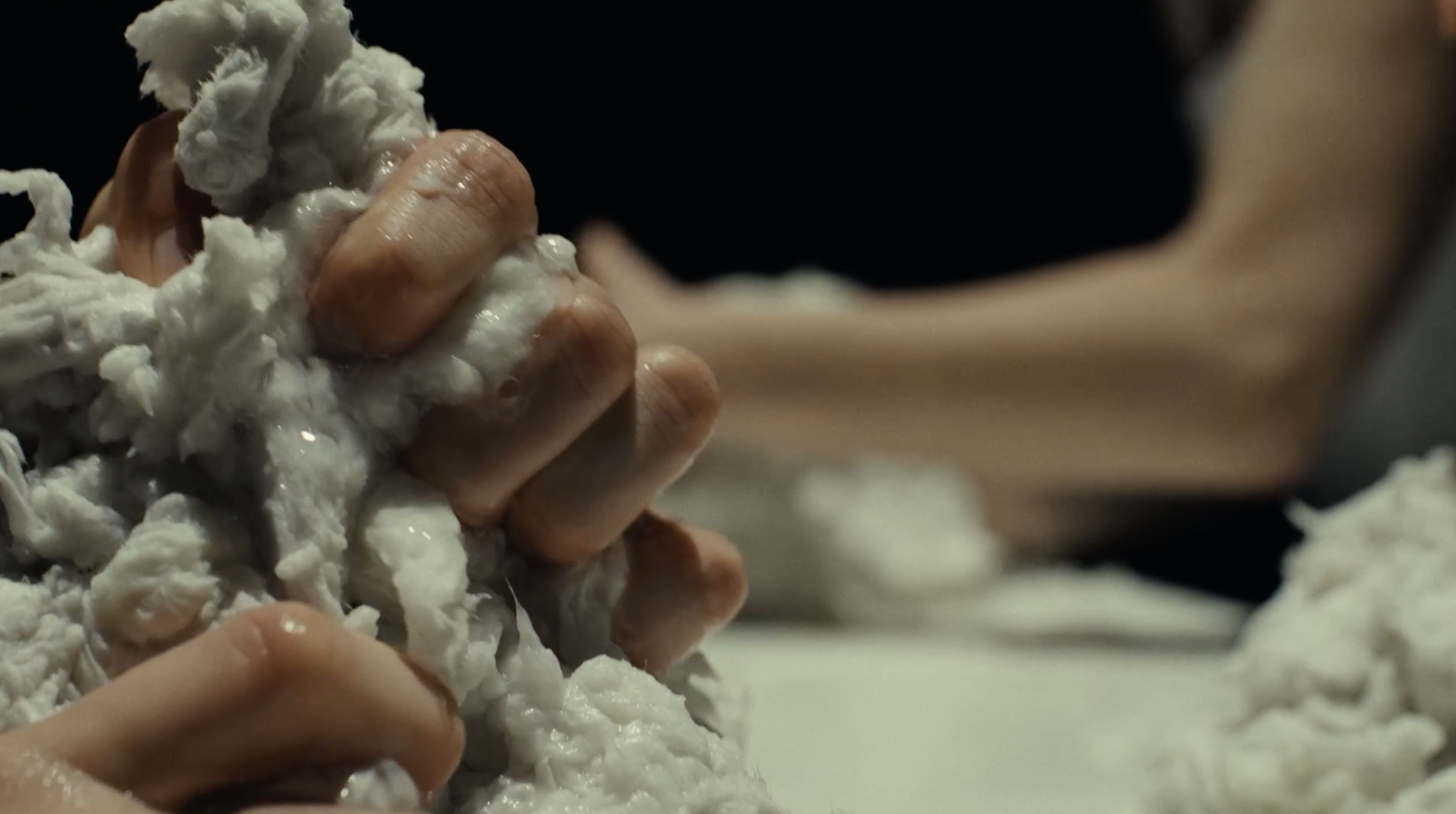  Vagus Symphony / Flökkusinfónía, videostill, 2024 