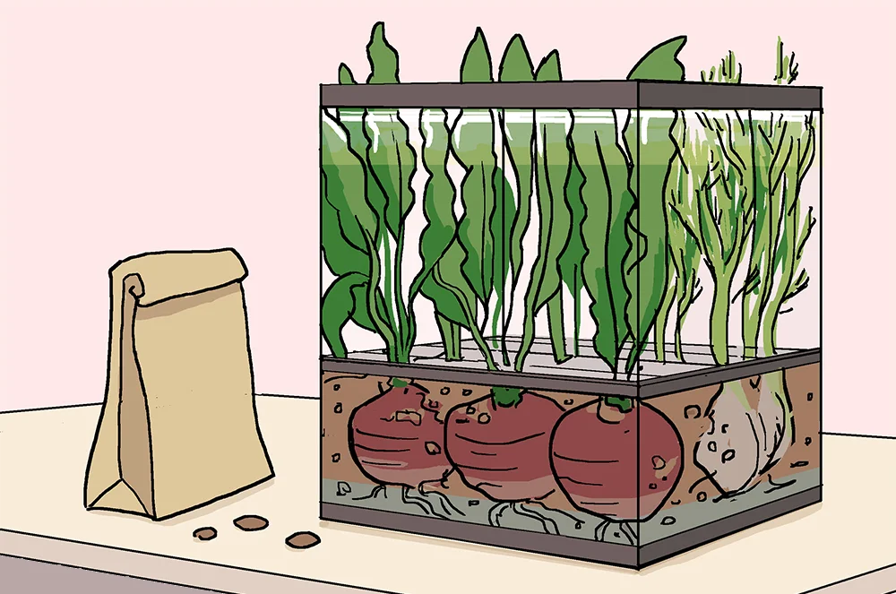 9. Countertop Farm Share