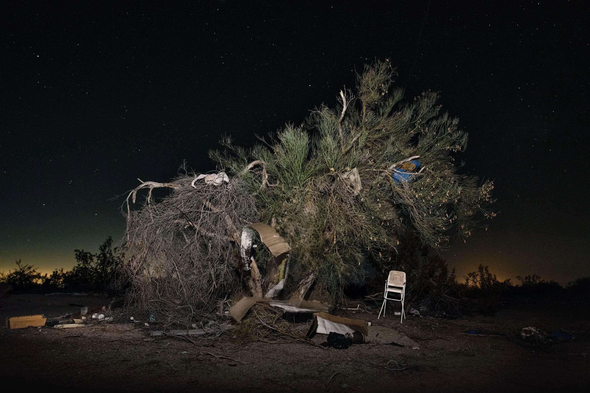 Babylon_JFBouchard_Tree Of Life 08_Nov2022_Final.jpeg