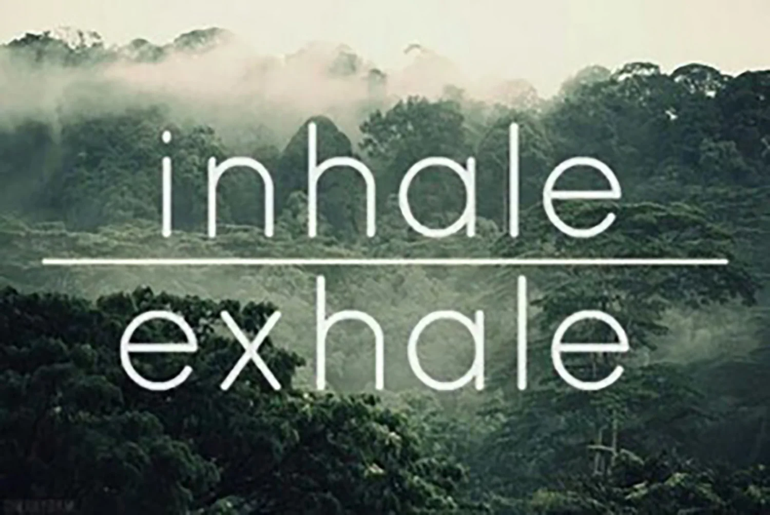 Inhale, Exhale