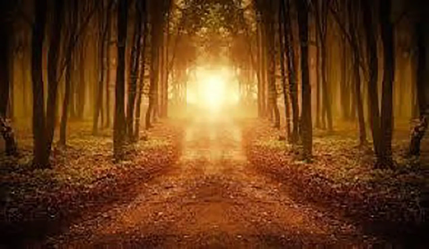 Walking in Alignment