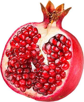 week 6 pomegranate seed.png
