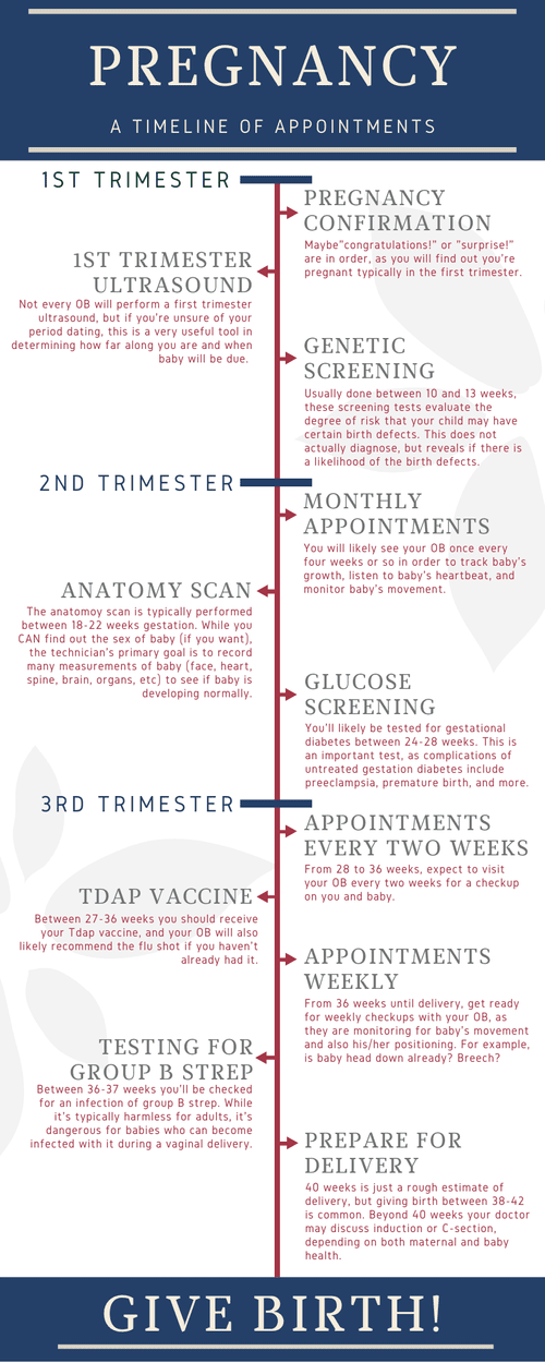Pregnancy A Timeline Of Appointments First Choice Health Services
