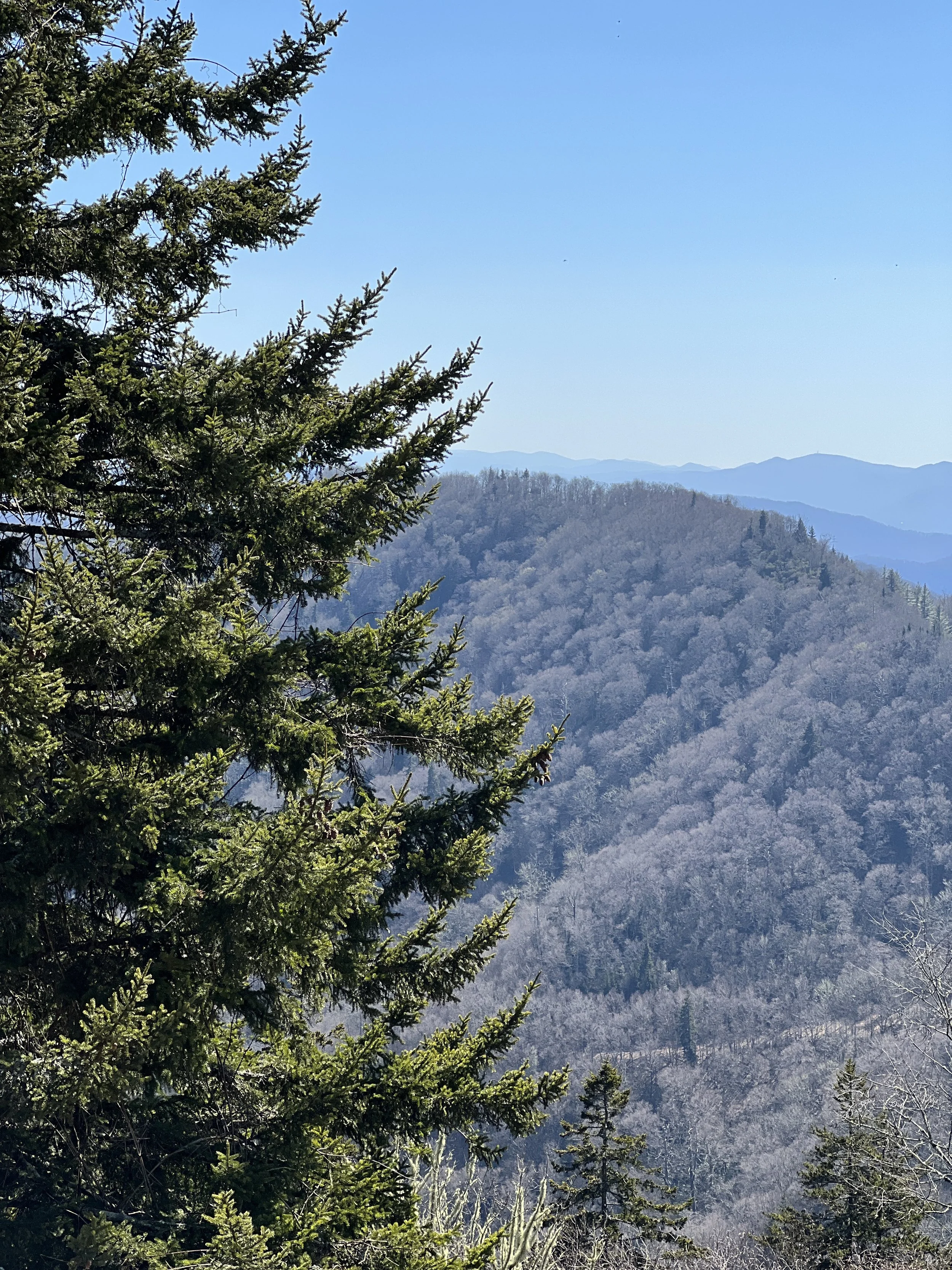 Day 9 &amp; 10 - Stimulus