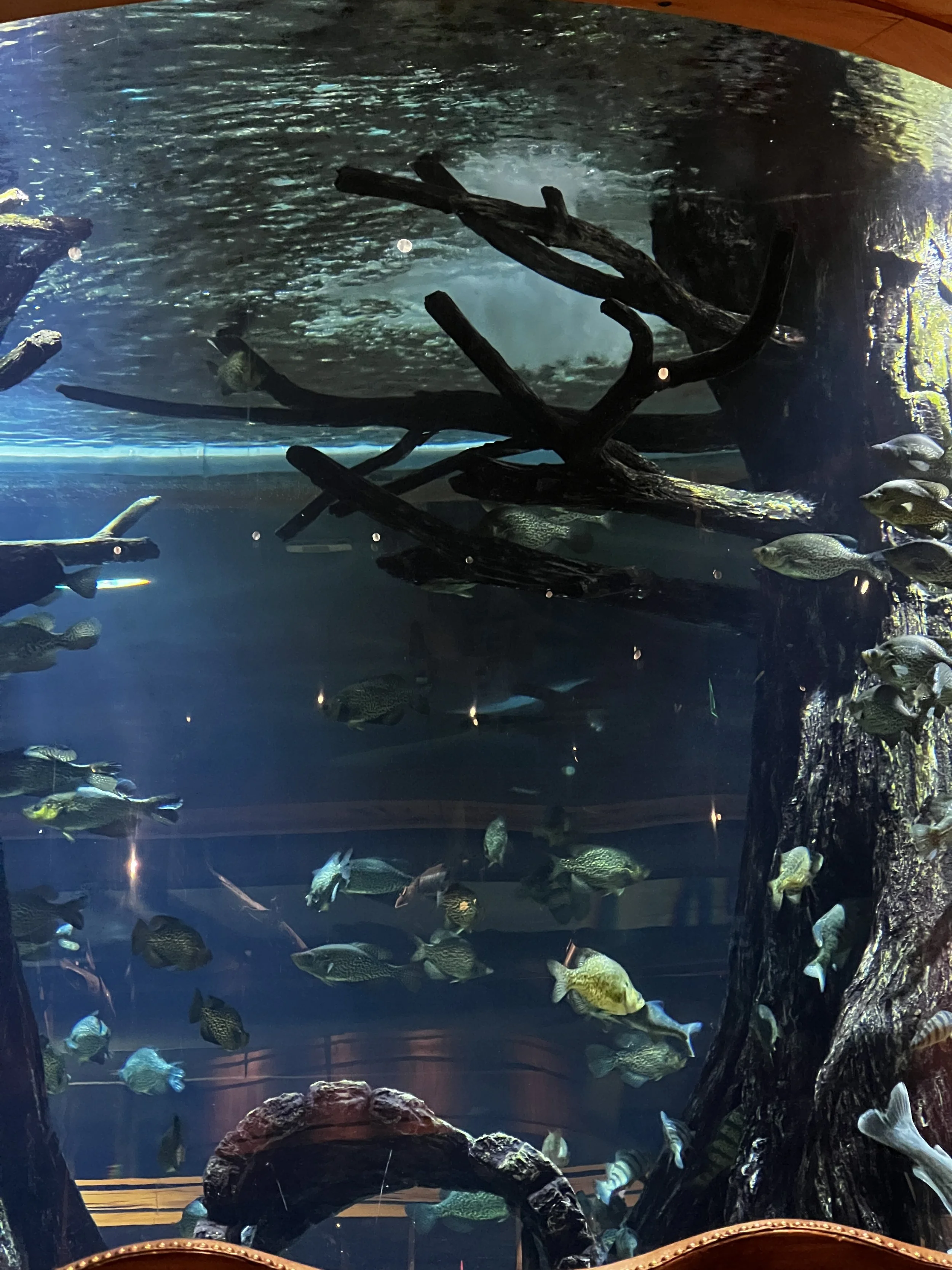 Day 13, 14 &amp; 15- Wet Hands