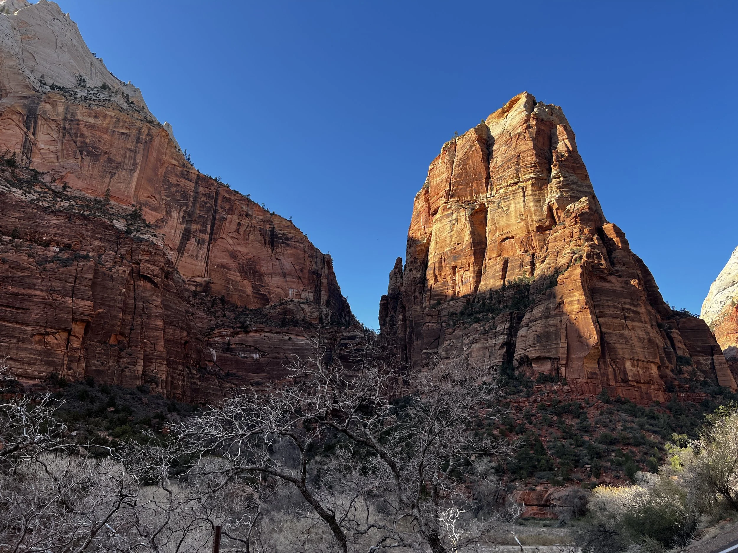 Day 27 &gt; 30 - Water Did This