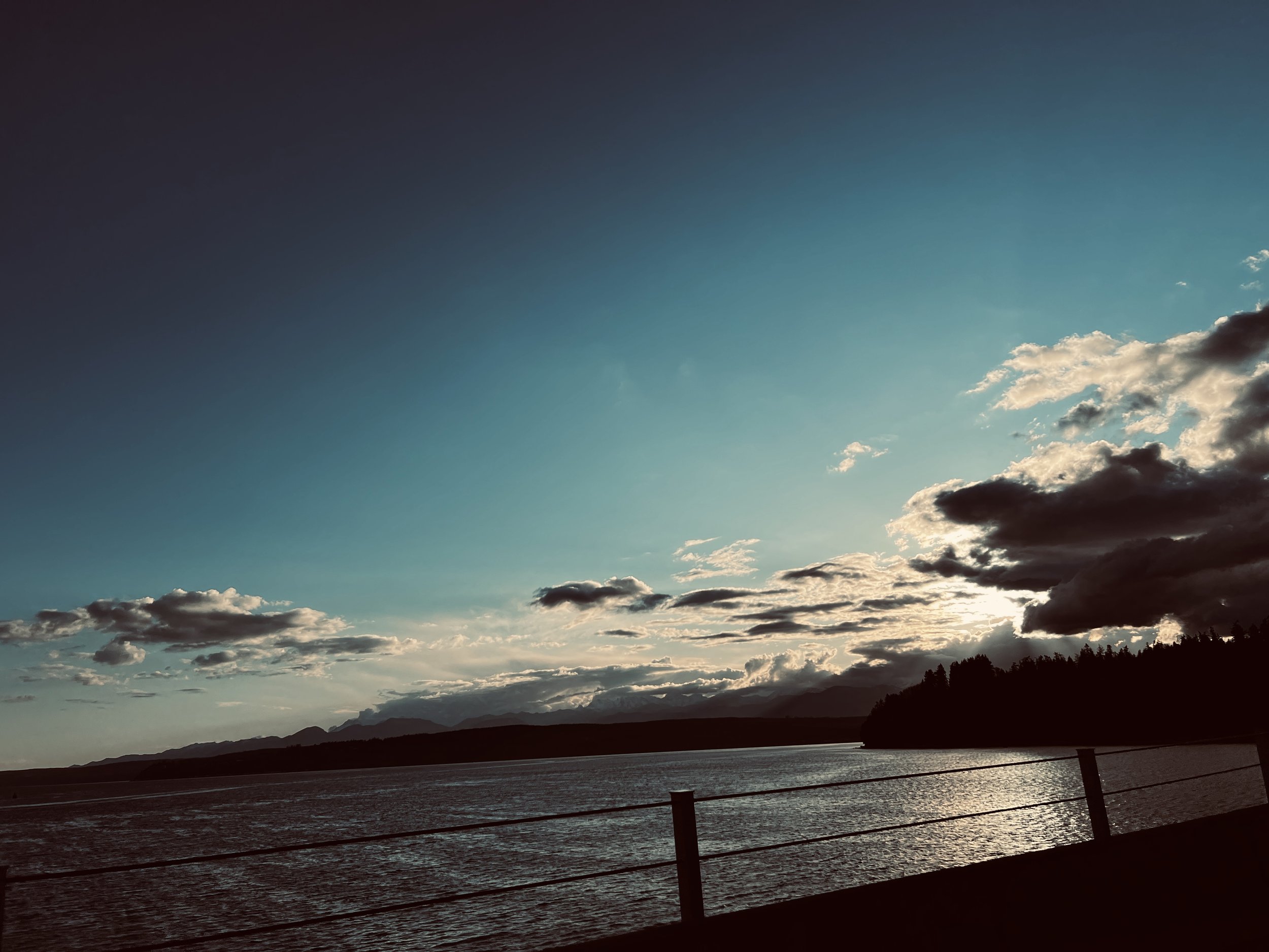 IMG_4332.JPEG