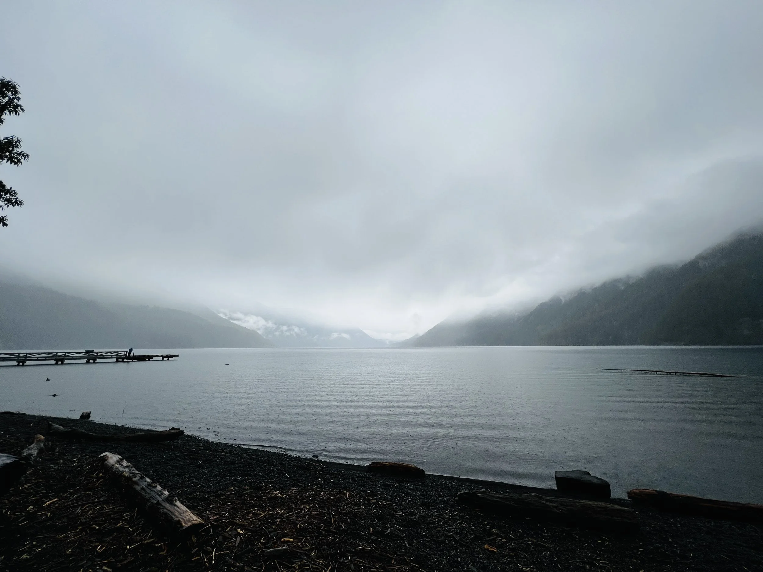 Day 52 &gt; 56 - Into the Woods