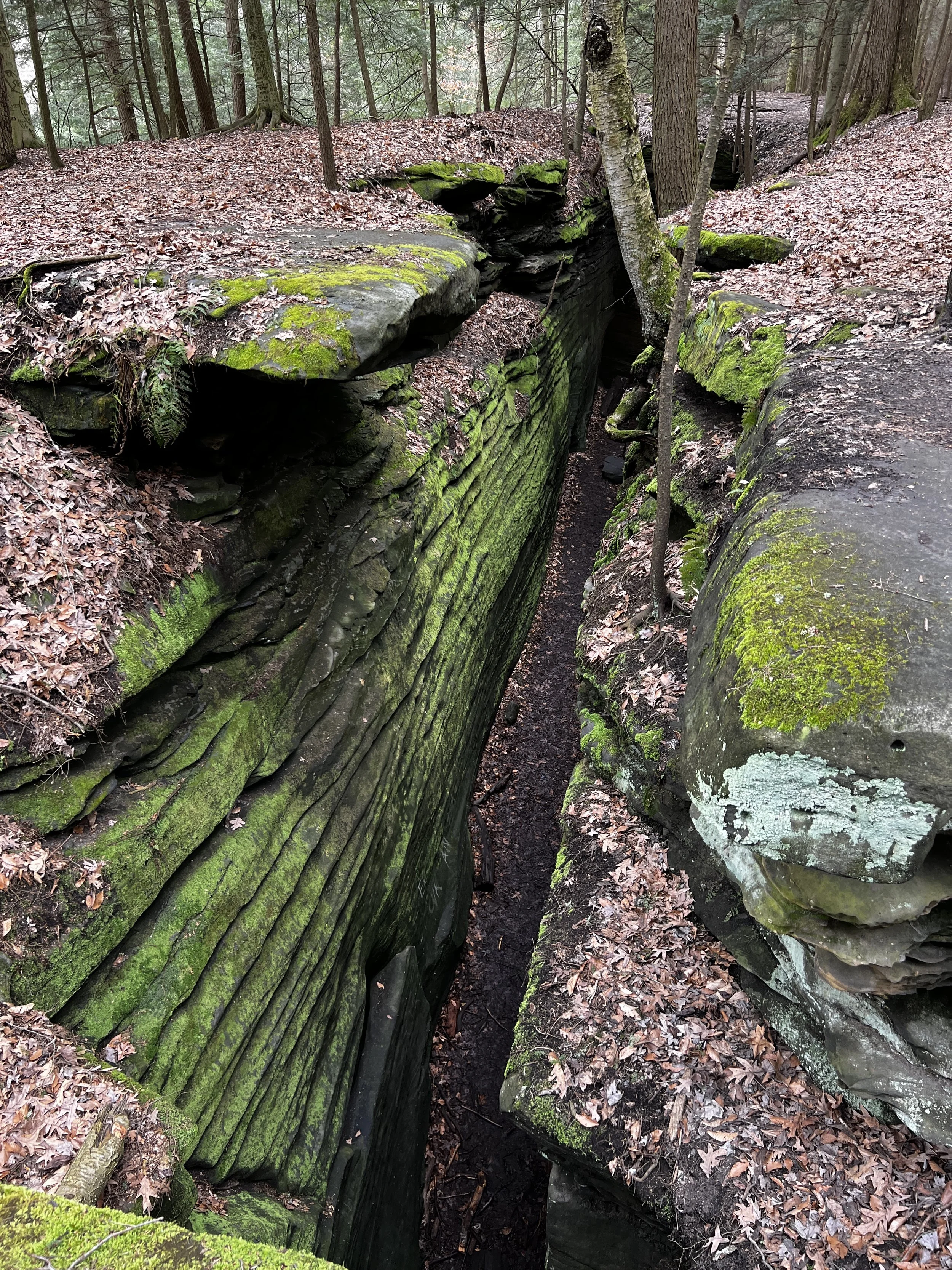 Day 69 &gt; 71 - Jeremu