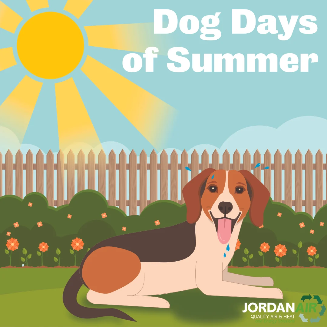 dogdaysofsummer.jpg