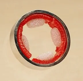 Toro Brooch.jpg