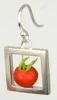tomatoes1_2.jpg