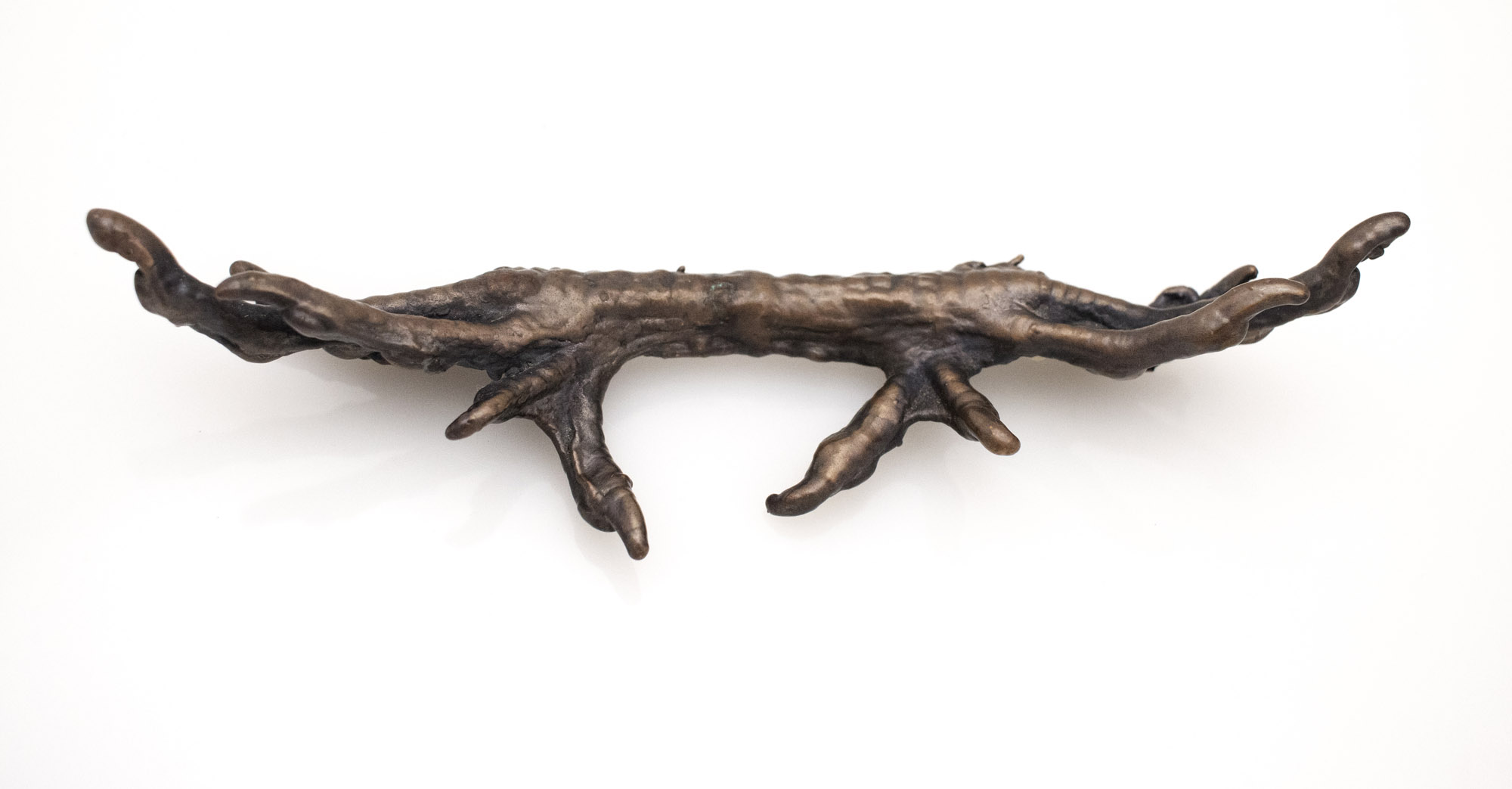 Silkie Foot, 2019