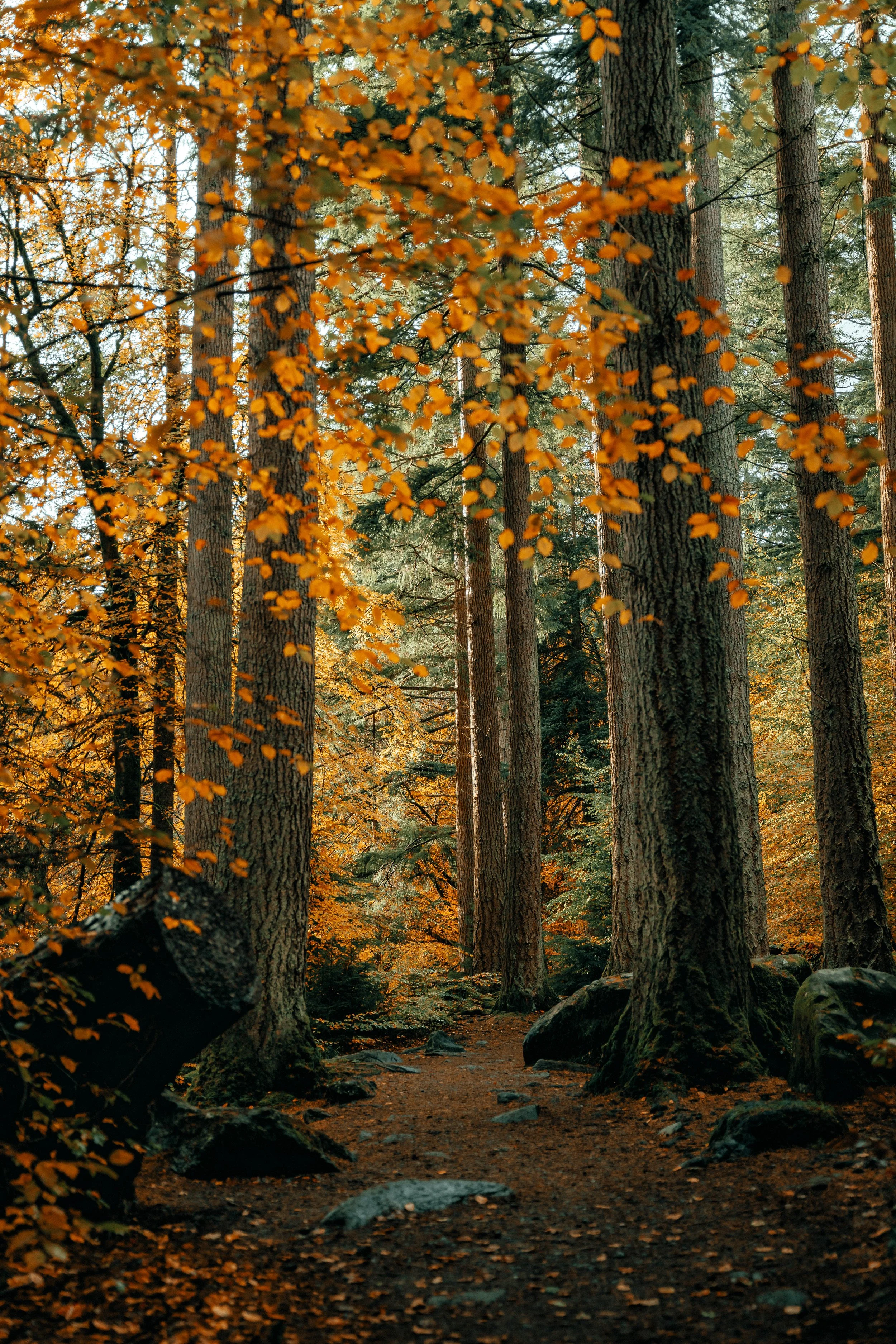 4C0A9590-Edit.jpg