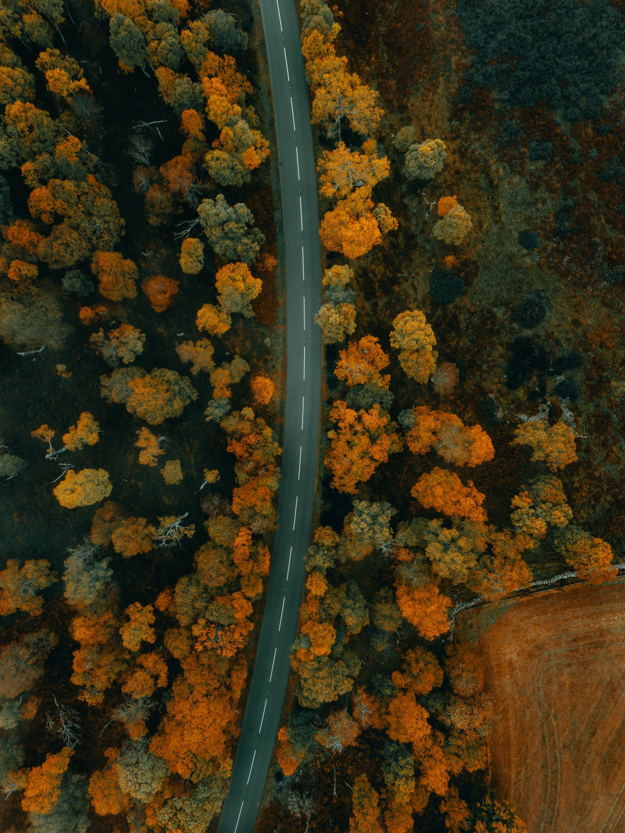 DJI_20231026095443_0113_D.jpg