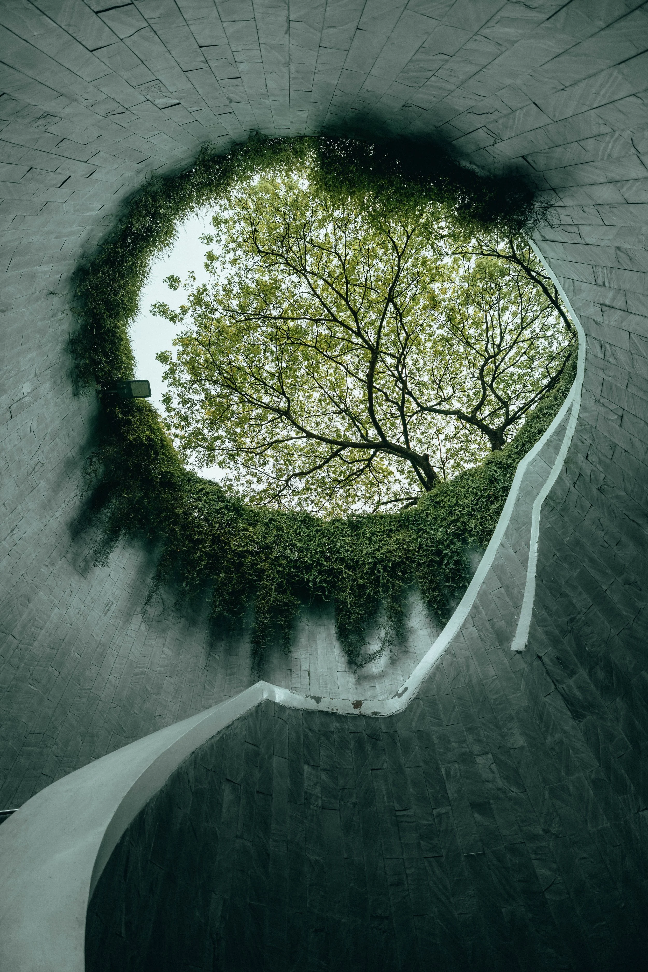 1-ER-Singapore-Nature.jpg