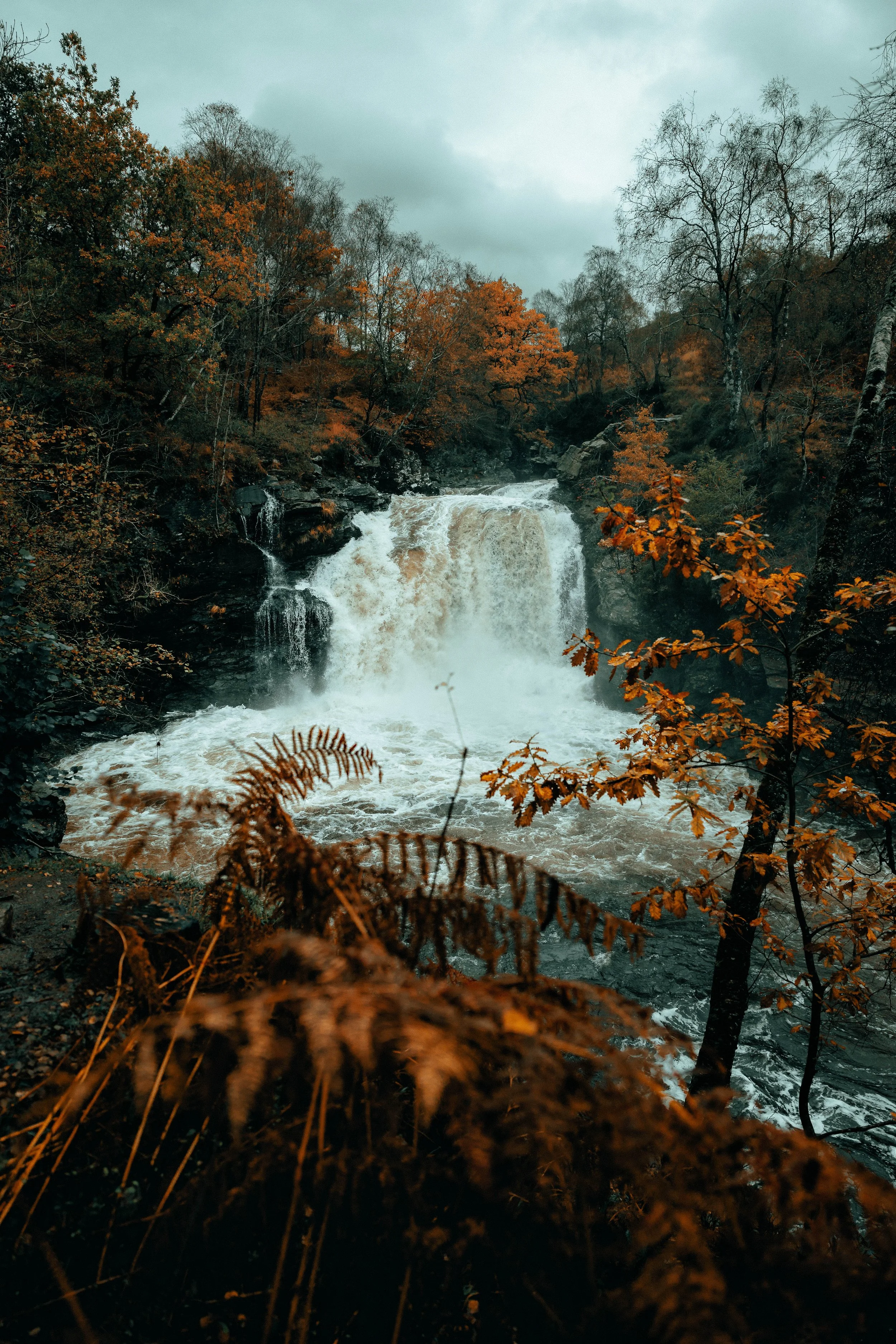 4C0A9386-Edit-Edit.jpg