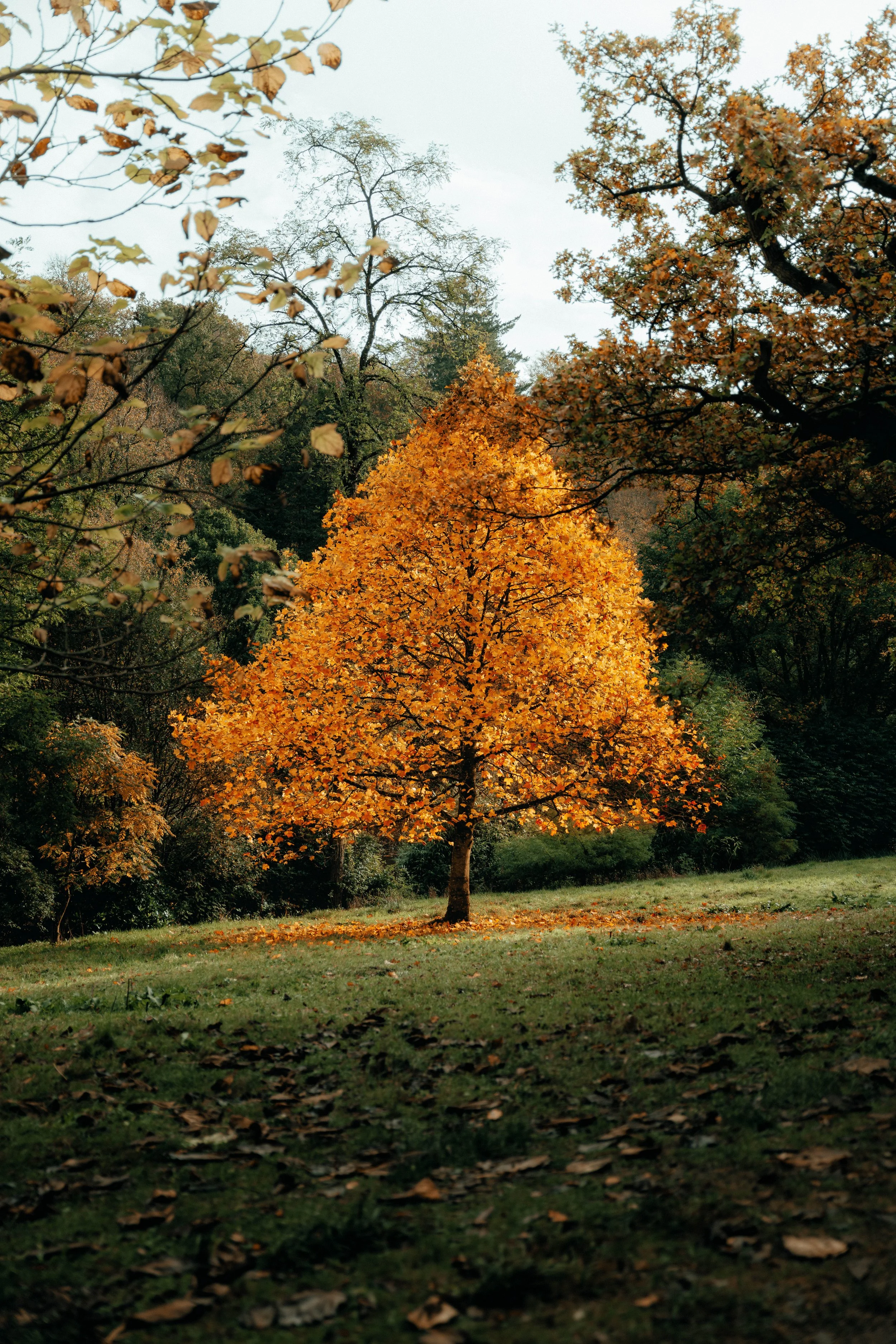 2I8A2822-Edit.jpg