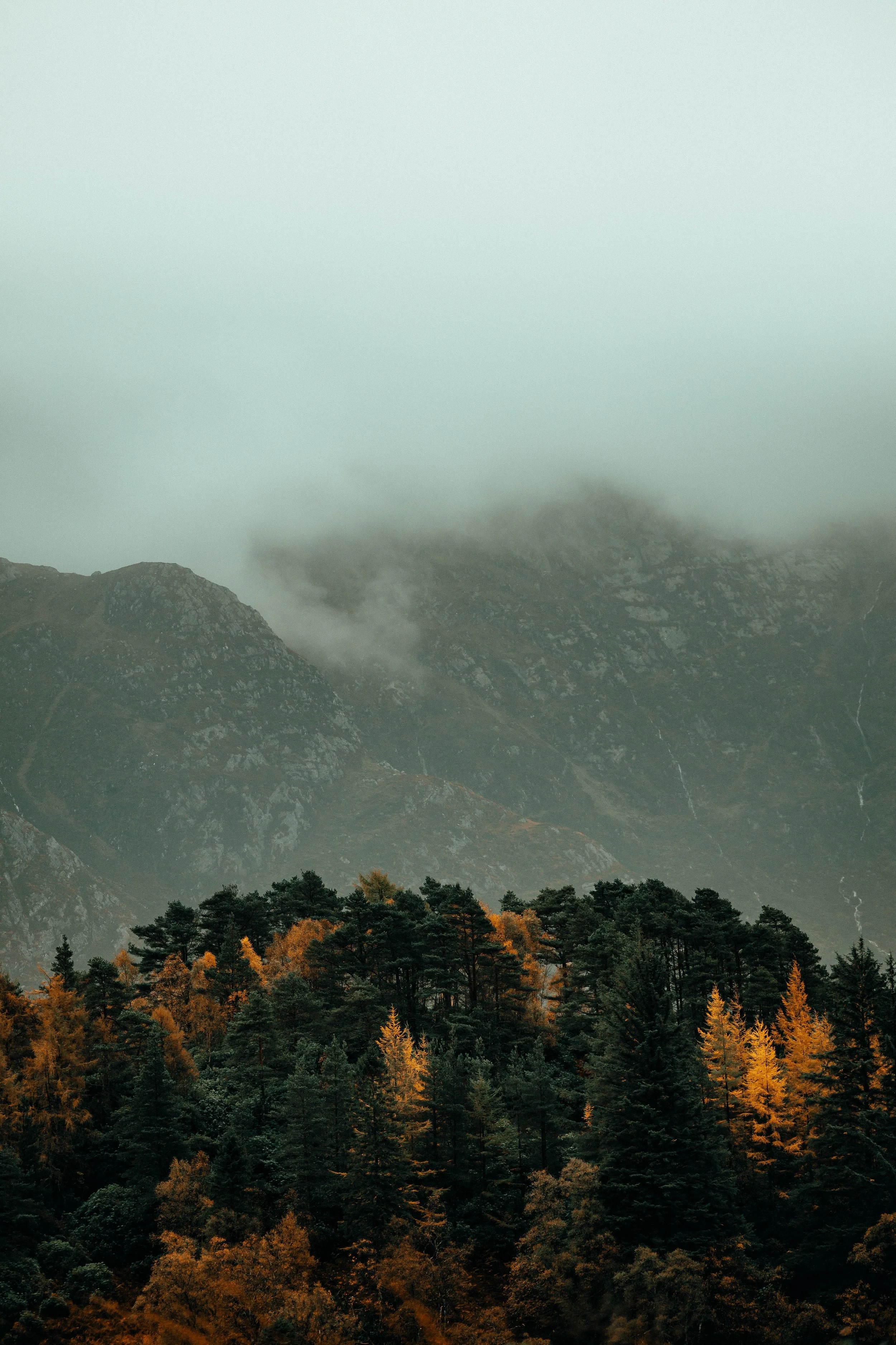 4C0A8938-Edit-Edit.jpg