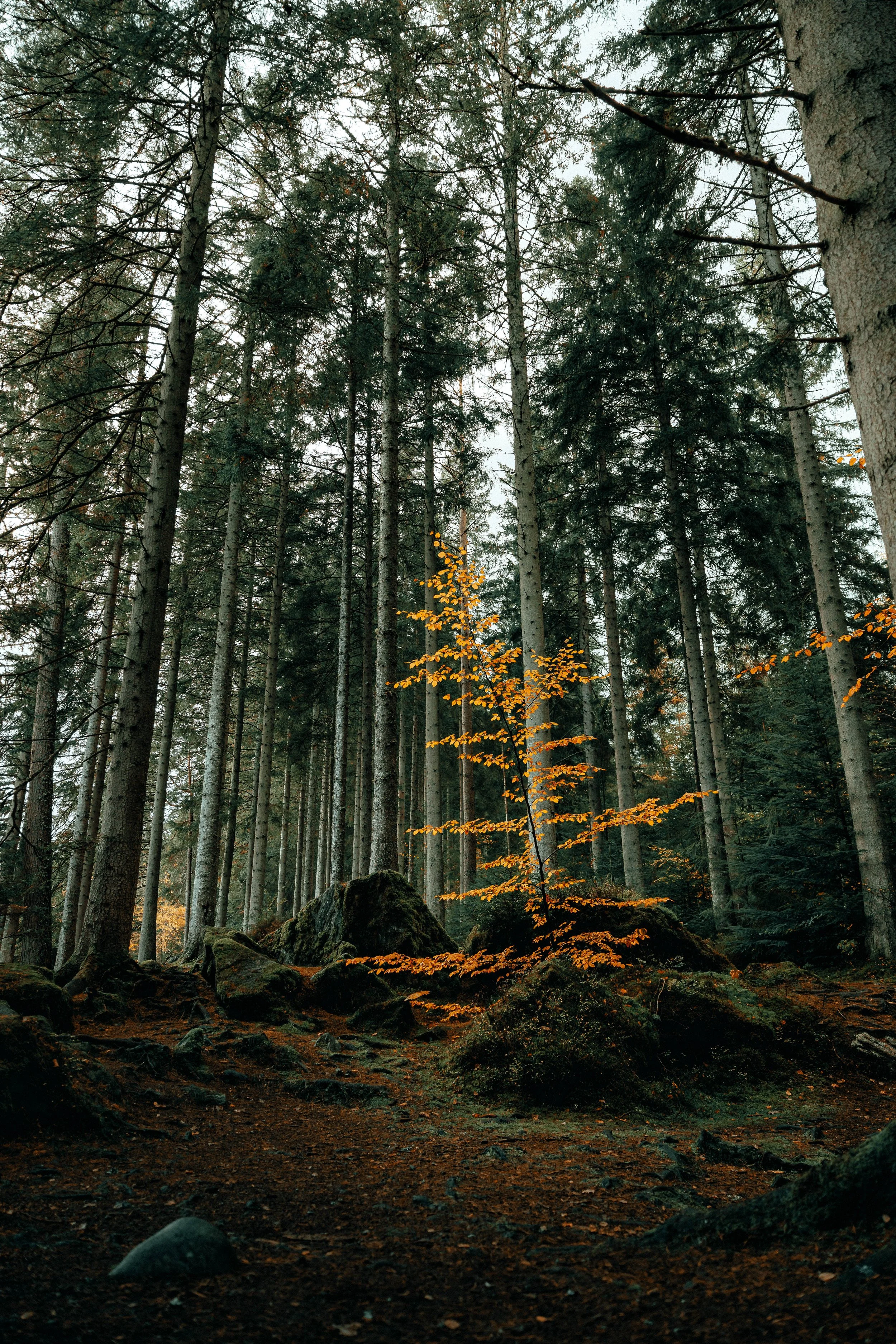 4C0A9709-Edit-Edit.jpg